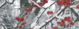 December it is Cold Outside!
