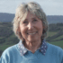 The Joy of Cranleigh – A Walk on the Common