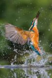 On The Move