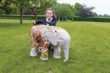 Wild Facelift for Fundraising Elephant!