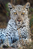 Join Cranleigh Camera Club