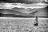 Cranleigh Camera Club – January 2019