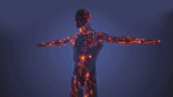 The Hidden Hero: Your Lymphatic System