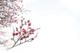 March Gardening Jobs To Do