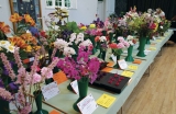 Ewhurst Horticultural Society Summer Show 2022