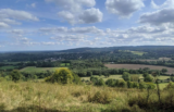 Counting Steps – Ranmore Circular – AllTrails