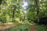 Counting Steps – Sidney Wood & Lost Canal – AllTrails