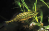 Wild Wonders – May 2022
