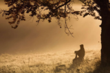 Poets Corner – Raymond Holt – May 2019