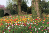 Garden Life – April 2022
