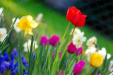 March – Spring Is Here At Last!
