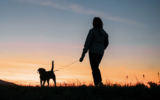 New Year – New Walk