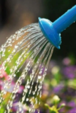 July 2018 – Keep your Garden Running