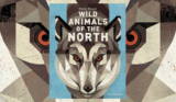 Book Review – Wild Animals of the North – Dieter Braun