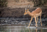 Cranleigh Camera Club – September 2019
