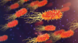 Gotta Love Bacteria