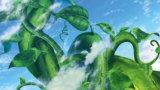 SHADES – Jack and the Beanstalk