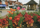 Cranleigh is blooming