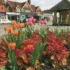 Blooming Cranleigh
