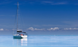 People Profile – Paul Arding – Sailor, Skier & Local Businessman