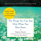 The Things You Can See Only When You Slow Down – by Haemin Sunim