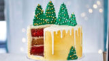 Winter Spice Cake with Chocolate Trees