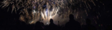 Cranleigh  Lions Club Bonfire & Fireworks
