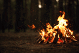 Garden Bonfires, The Evidence
