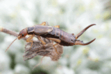 Wild Wonders – November 2023