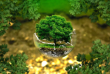 Cranleigh Eco Festival – Sharon Duggan