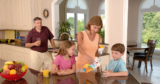 Healthy Home, Healthy Family