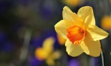 March 2019 – Begin the Spring Clean!