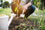 Gardeners’ Questions – Charity fund-raising event