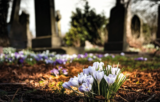 Poets Corner – Raymond Holt – June 2020