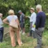 Cranleigh Pétanque Club: New Sponsorship