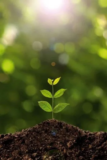 April 2018 – New Life!