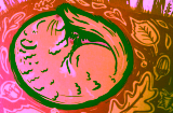 Wild Wonders: The Secretive, Sleepy Dormouse