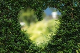 February 2019 – The Heart Of Our Gardens