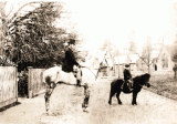 The Joy of Cranleigh – Walking Cranleigh: A Medical Walk
