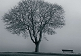 November – All Change for Winter is Near