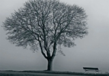 November – All Change for Winter is Near
