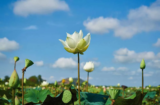 March 2018 – Spring Marches On