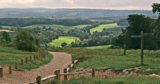 Save Newlands Corner