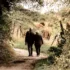 Films for April 2018 in the Cranleigh area