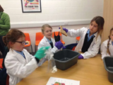 Farlington Prep School trip to Winchester Science Centre