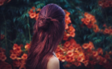 The Wonders of Henna and Other Plant Dyes