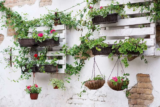 June 2018 – Recycle our Gardens