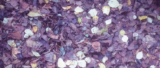 November – Winter Is On The Way.