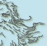 The Man With The Very Long Beard