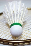 Cranleigh Badminton Club Welcomes New Players